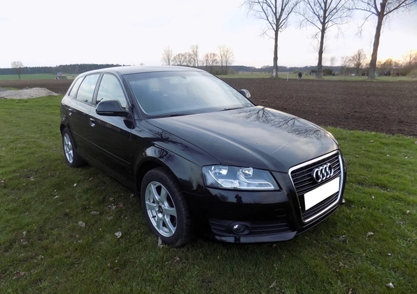 Audi A3 cena 26900 przebieg: 164000, rok produkcji 2010 z Szprotawa małe 407